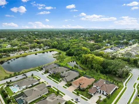 874 Bee Branch Court Palm Harbor FL 34683