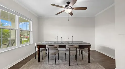30943 Parrot Reef Court Wesley Chapel FL 33545