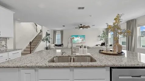 30943 Parrot Reef Court Wesley Chapel FL 33545
