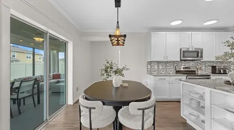 30943 Parrot Reef Court Wesley Chapel FL 33545