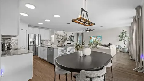30943 Parrot Reef Court Wesley Chapel FL 33545