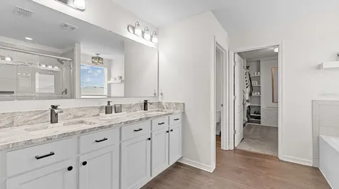 30943 Parrot Reef Court Wesley Chapel FL 33545