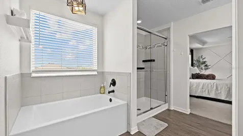 30943 Parrot Reef Court Wesley Chapel FL 33545