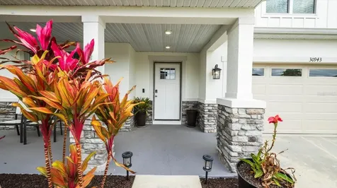 30943 Parrot Reef Court Wesley Chapel FL 33545