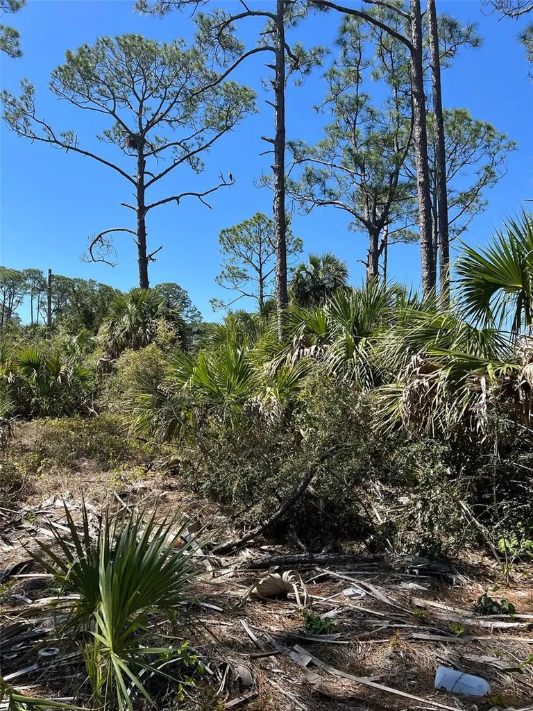 Rye Key Cedar Key FL 32625