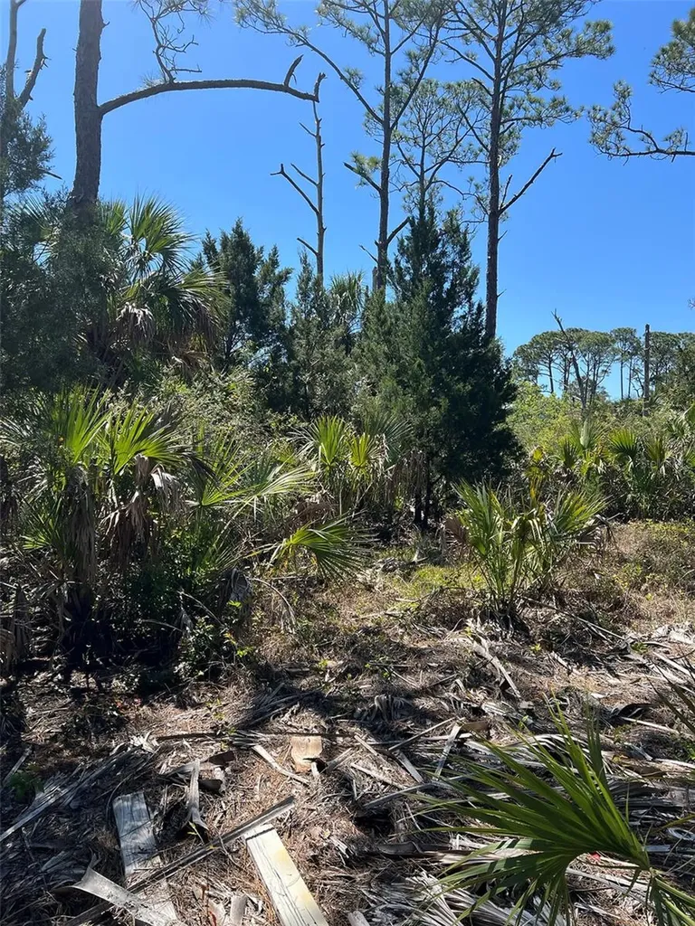 Rye Key Cedar Key FL 32625