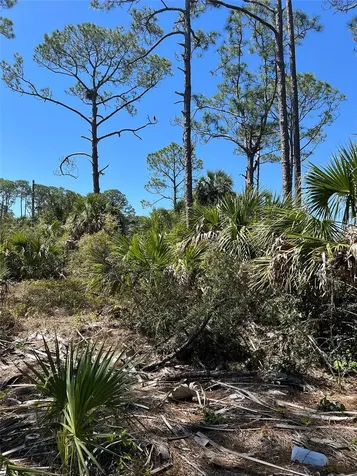 Rye Key Cedar Key FL 32625