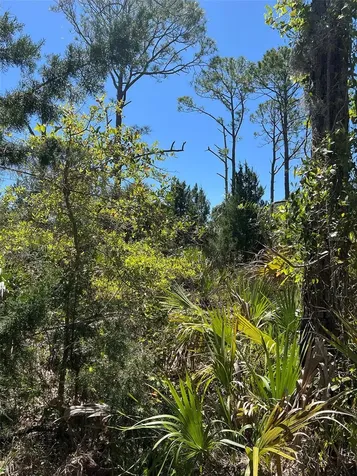 Rye Key Cedar Key FL 32625