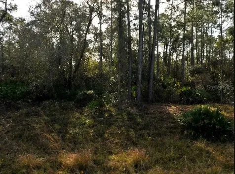 Lestock Avenue North Port FL 34288