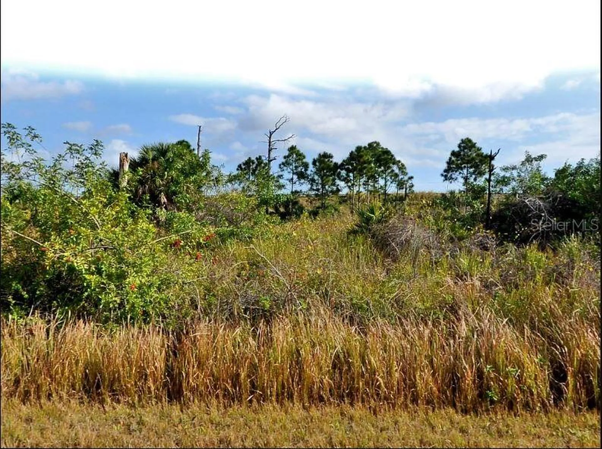 Mansfield Circle North Port FL 34288