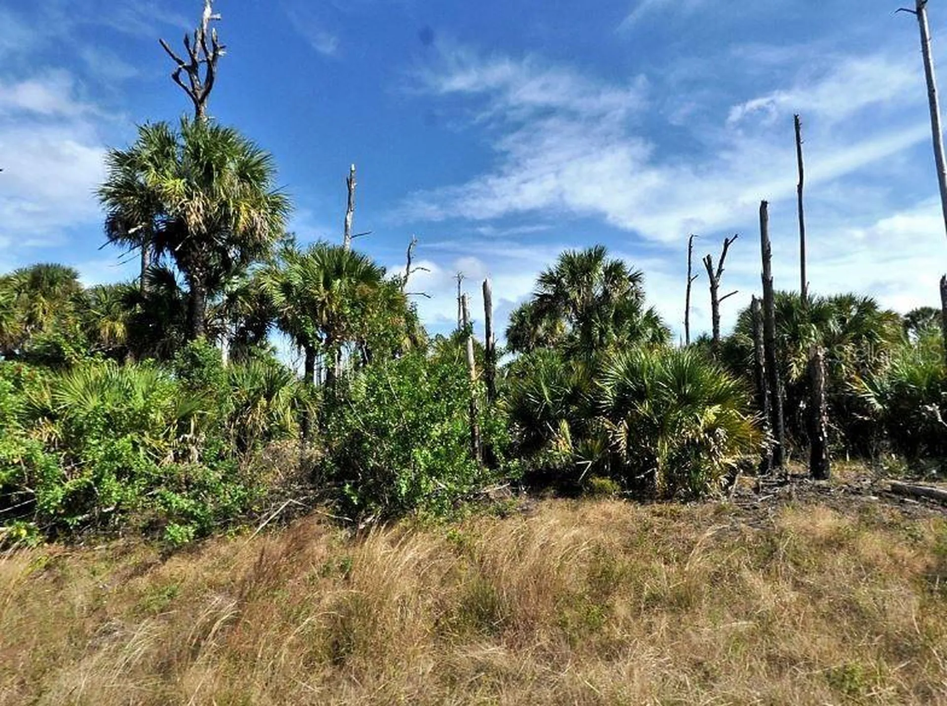 Farview Drive North Port FL 34288