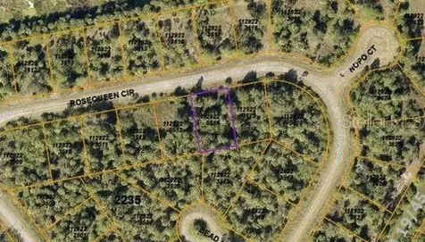 Rosequeen Circle North Port FL 34288