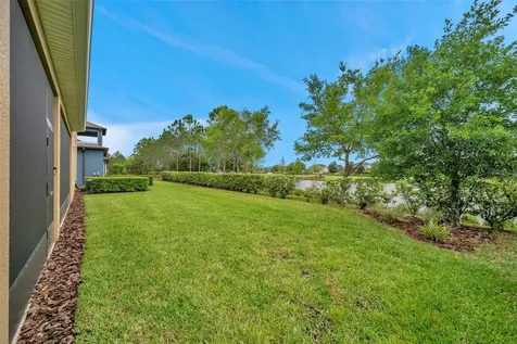 28550 Marsciano Lane Wesley Chapel FL 33543