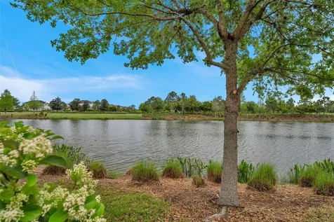 28550 Marsciano Lane Wesley Chapel FL 33543