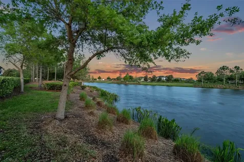 28550 Marsciano Lane Wesley Chapel FL 33543