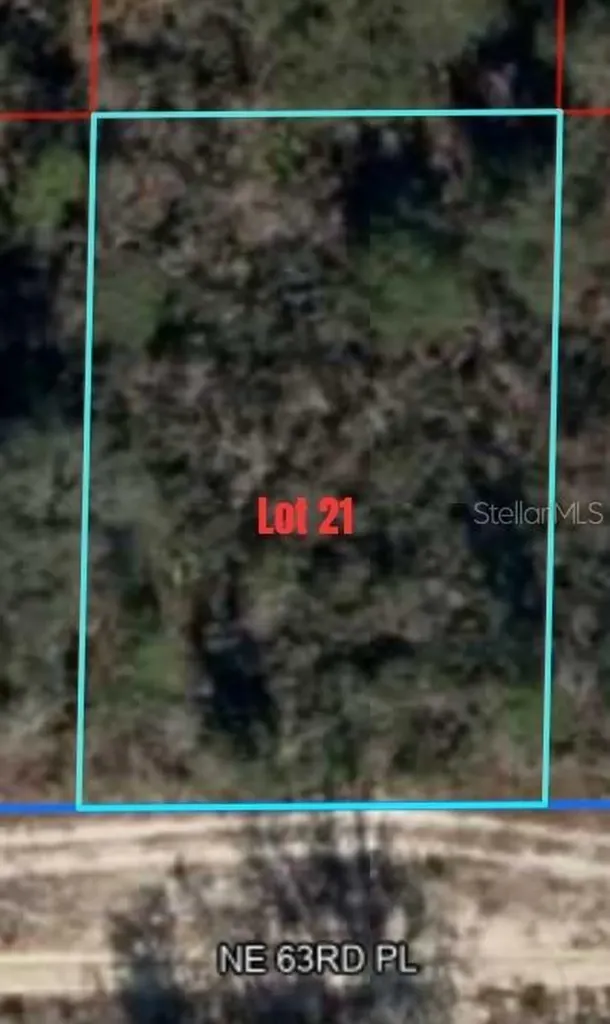 NE 63rd Place Williston FL 32696