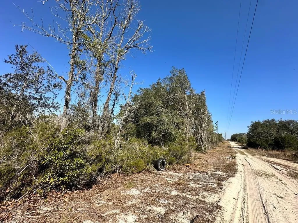 NE 63rd Place Williston FL 32696