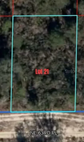 NE 63rd Place Williston FL 32696