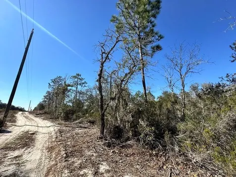 NE 63rd Place Williston FL 32696