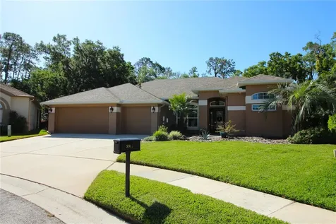5919 Falconwood Place Lithia FL 33547