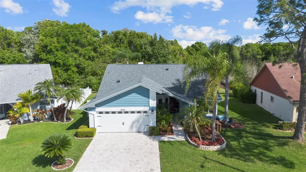 8723 Boysenberry Drive Tampa FL 33635