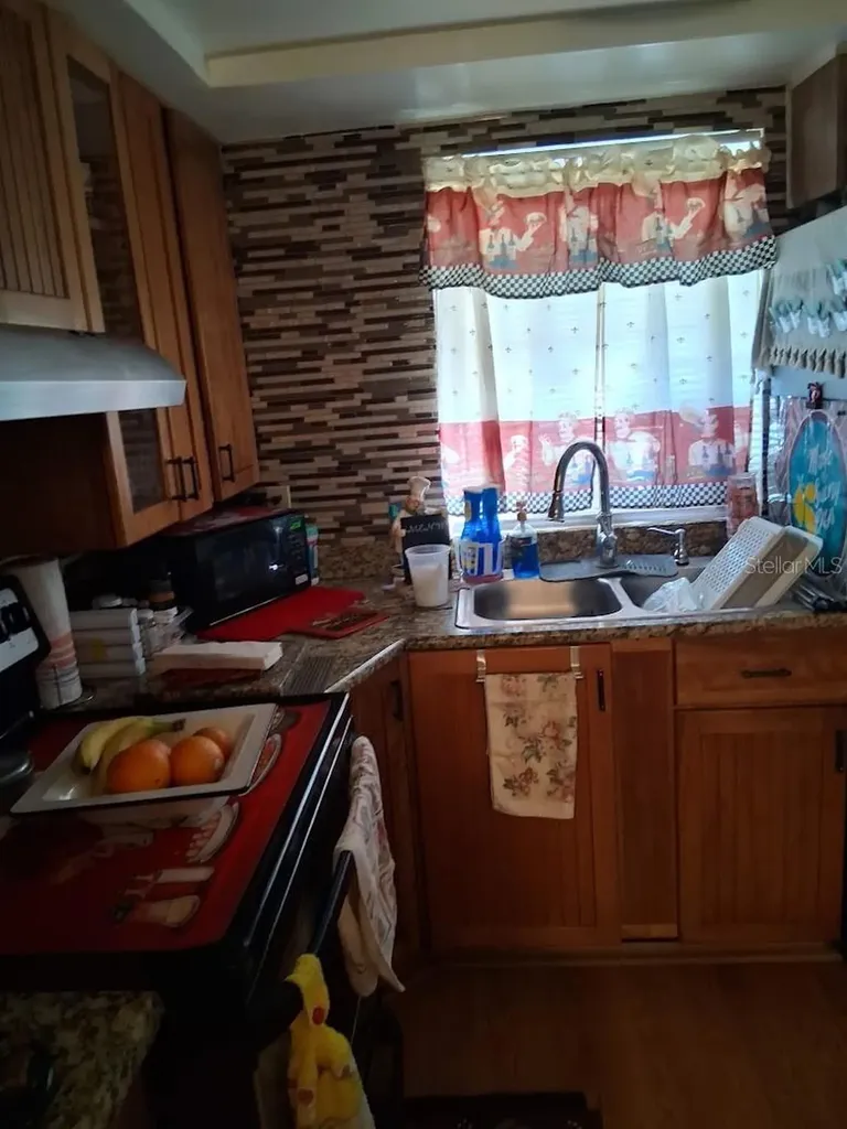 541 Trellis Court Orlando FL 32809