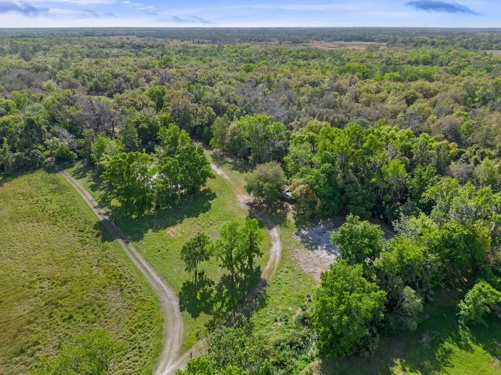 445 Van Arsdale Street Oviedo FL 32765