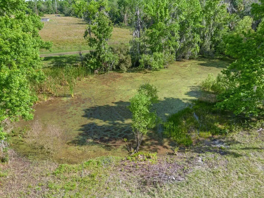 445 Van Arsdale Street Oviedo FL 32765