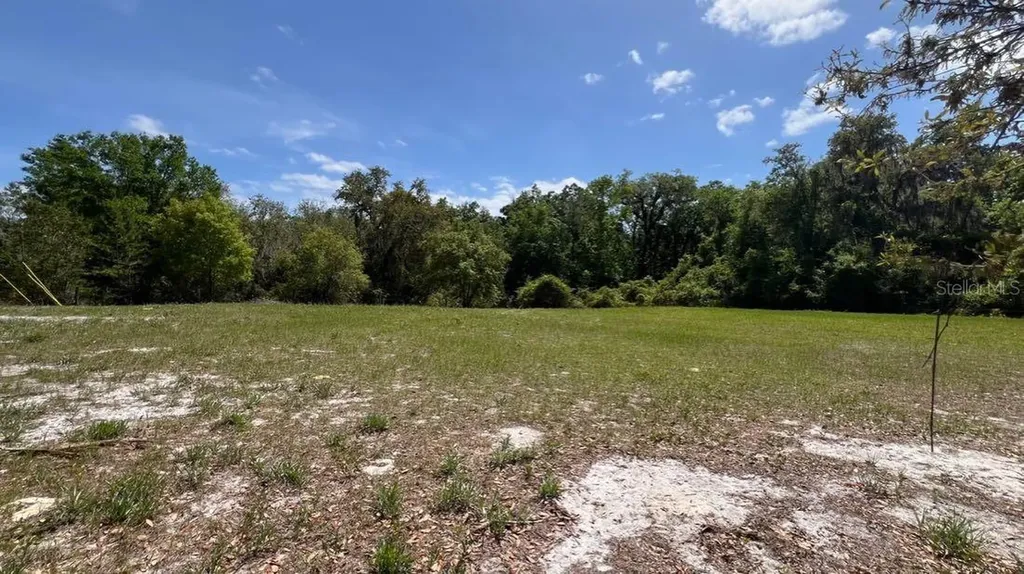445 Van Arsdale Street Oviedo FL 32765
