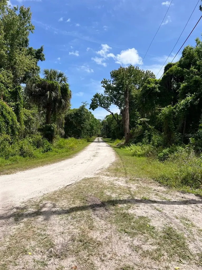 445 Van Arsdale Street Oviedo FL 32765