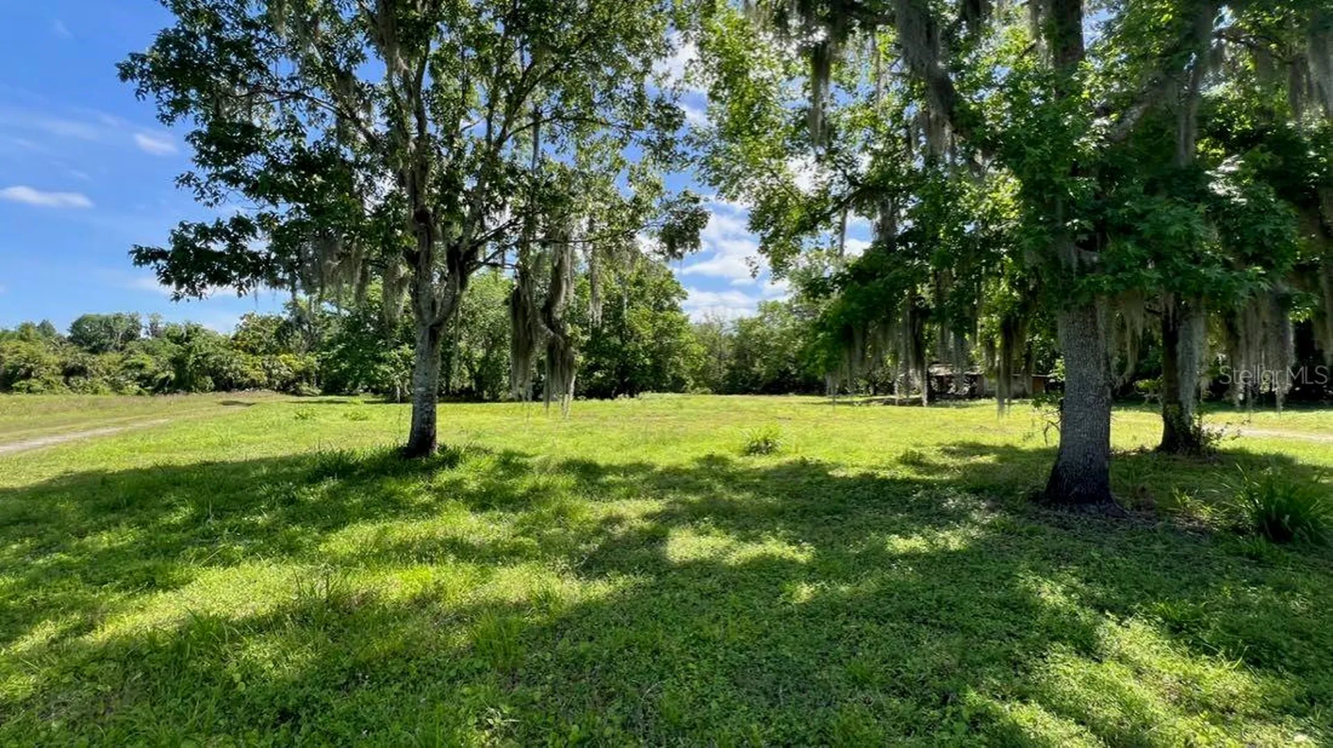 445 Van Arsdale Street Oviedo FL 32765