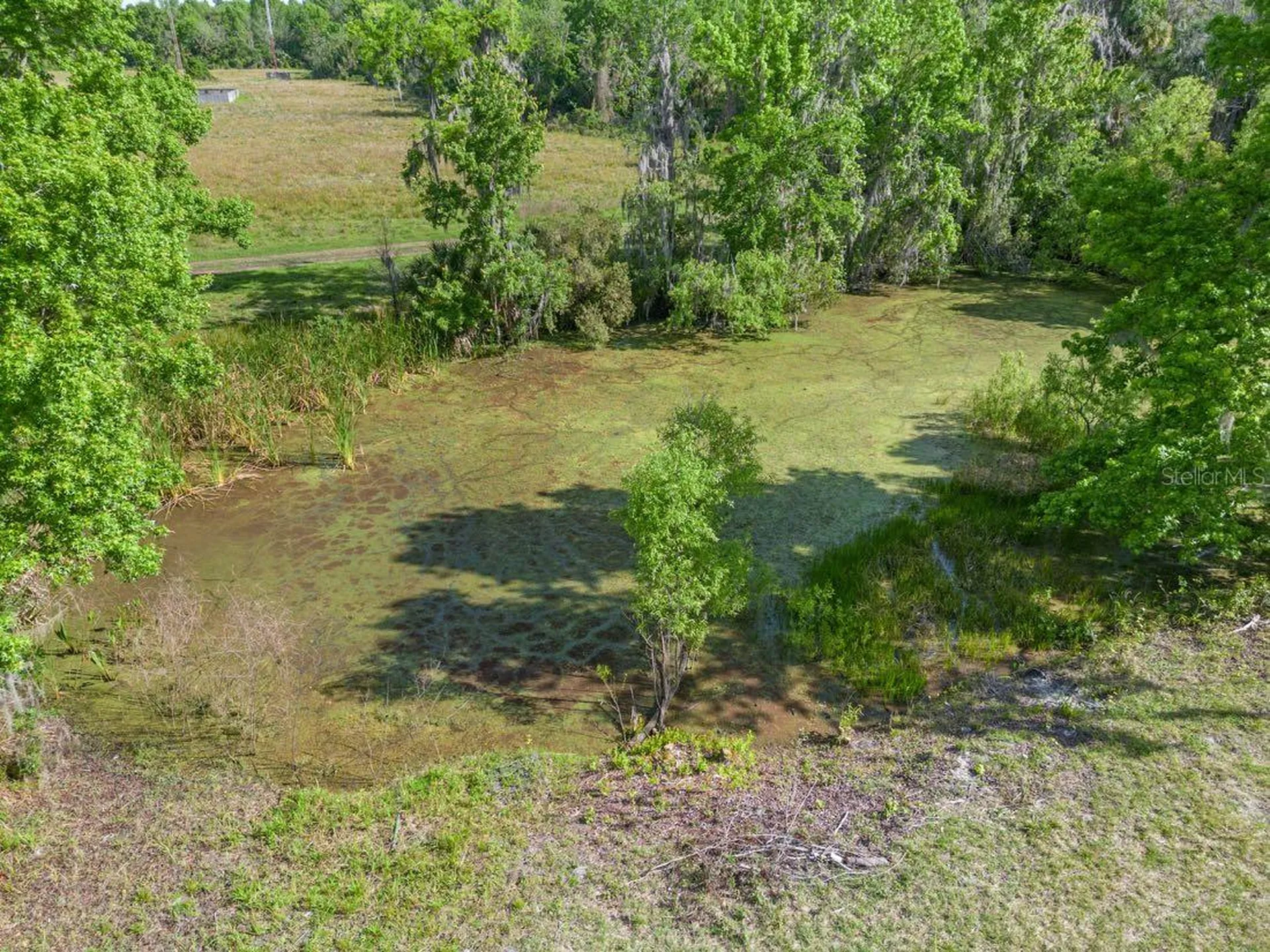 445 Van Arsdale Street Oviedo FL 32765