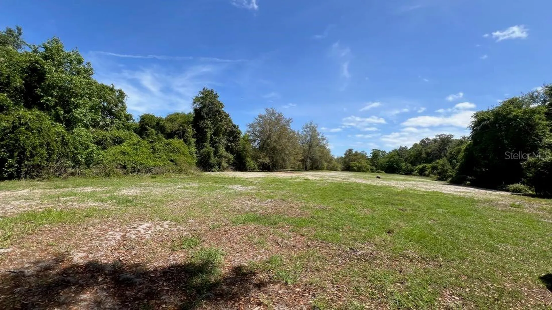 445 Van Arsdale Street Oviedo FL 32765