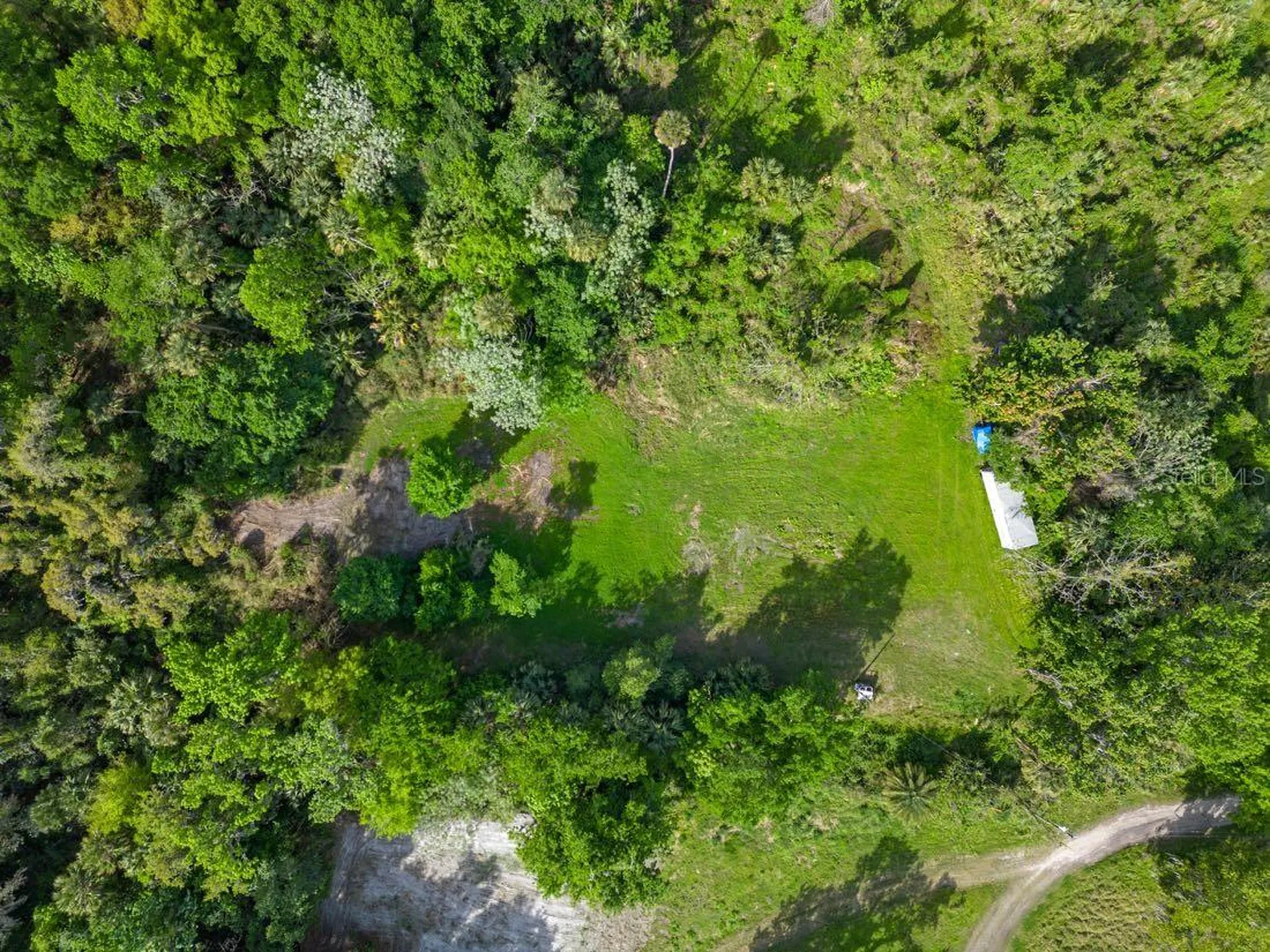 445 Van Arsdale Street Oviedo FL 32765