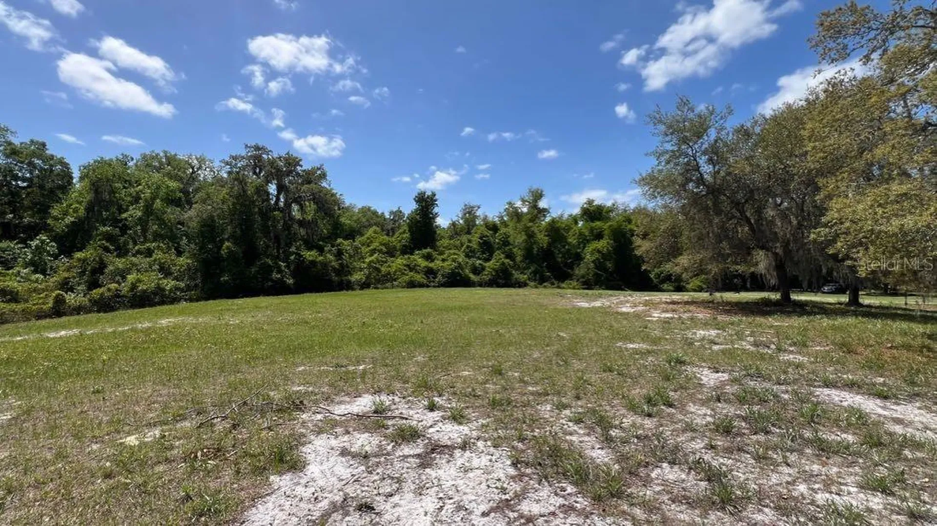 445 Van Arsdale Street Oviedo FL 32765