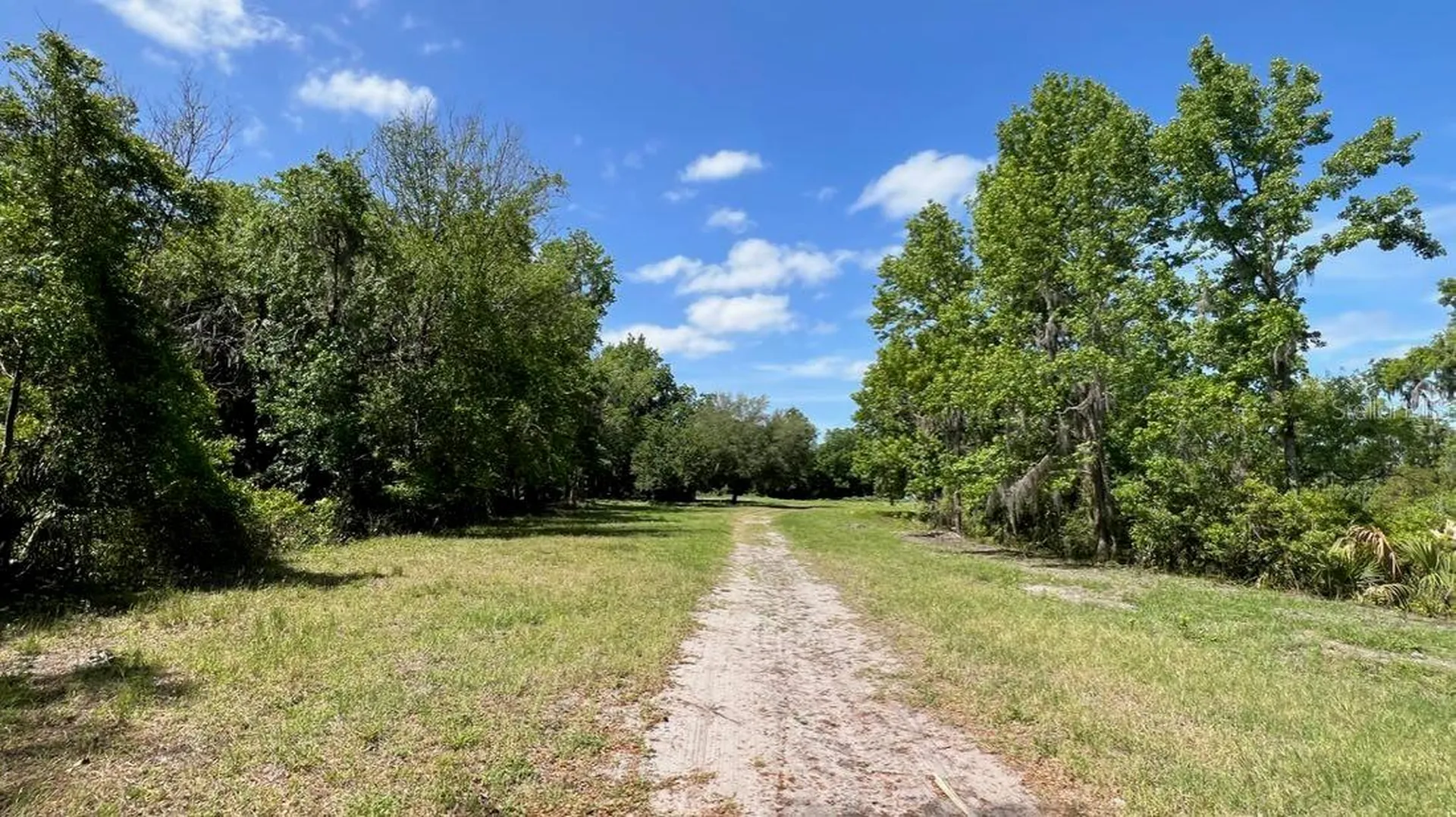 445 Van Arsdale Street Oviedo FL 32765