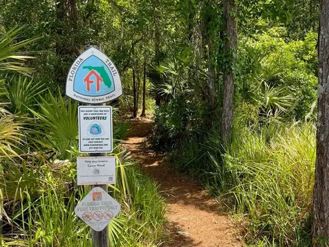 445 Van Arsdale Street Oviedo FL 32765
