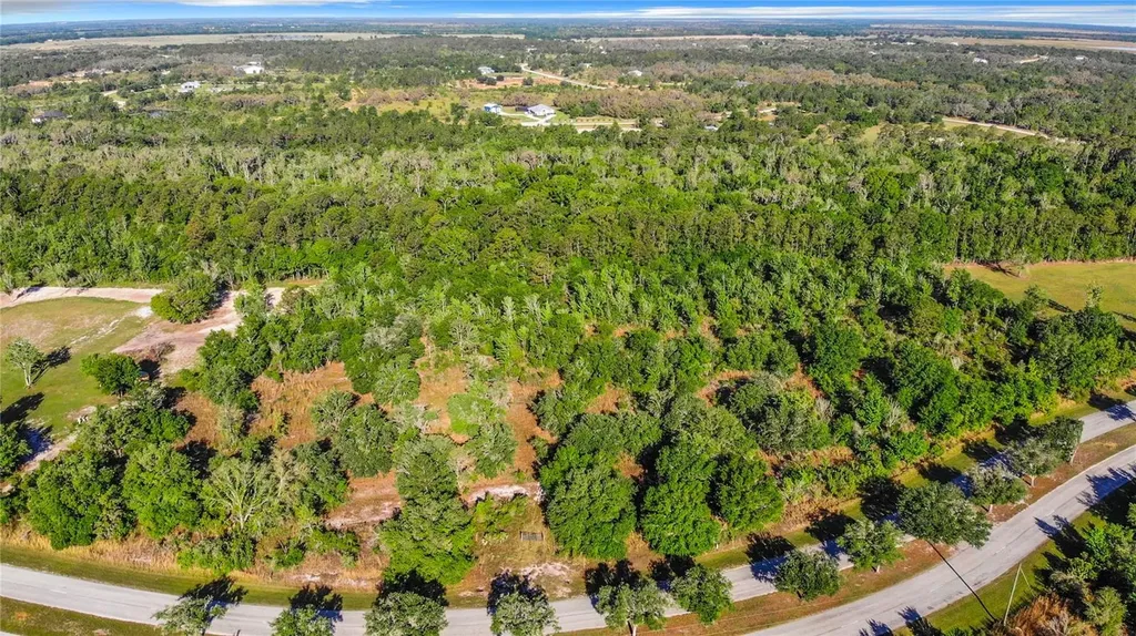 2302 411th Street E Myakka City FL 34251