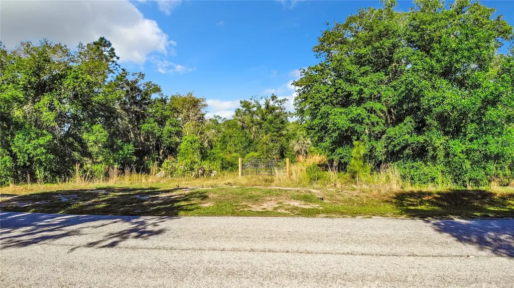 2302 411th Street E Myakka City FL 34251
