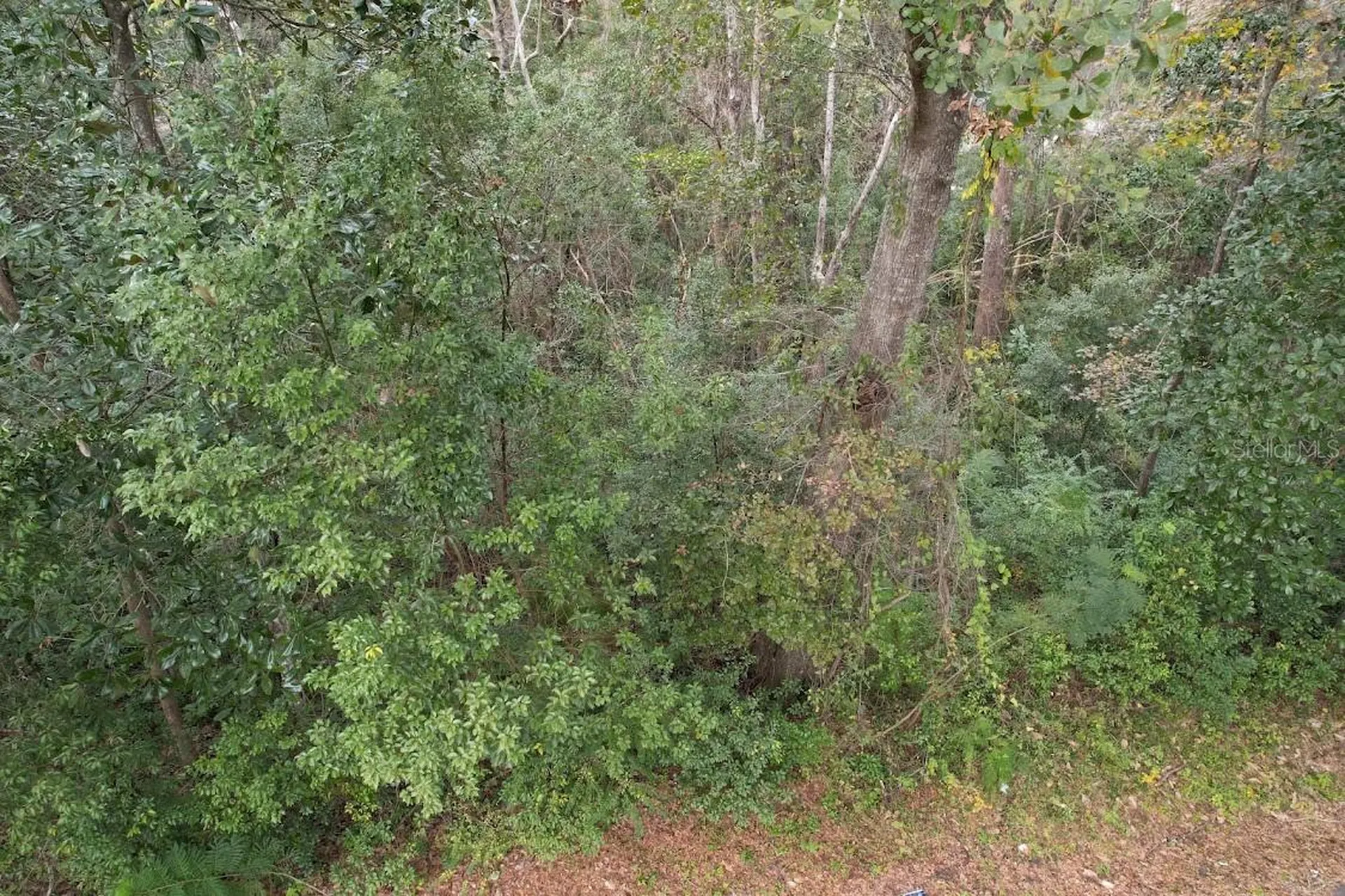3-12-2N-4W-1100-0000B-009 Station Street Quincy FL 32351