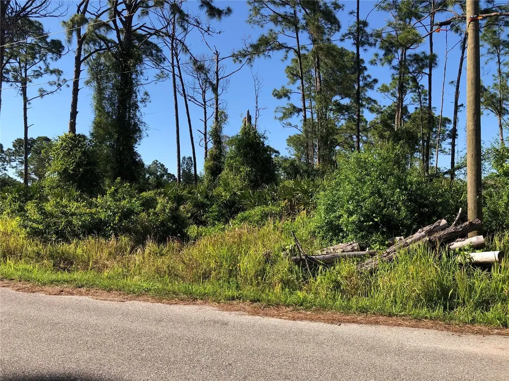 Dandurand Avenue North Port FL 34291