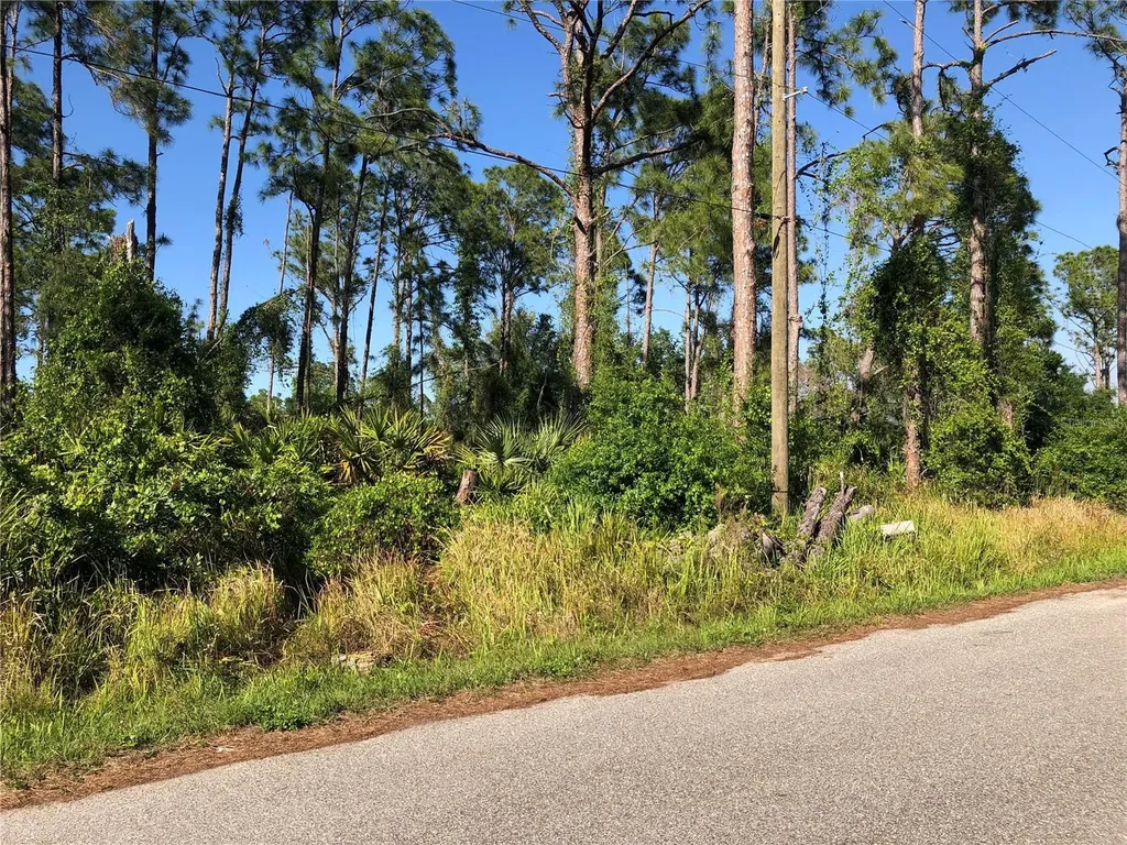 Dandurand Avenue North Port FL 34291