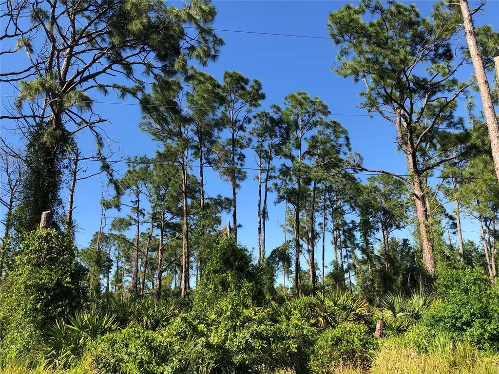 Dandurand Avenue North Port FL 34291