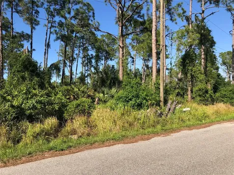 Dandurand Avenue North Port FL 34291