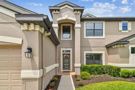 21847 Billowy Jaunt Drive Land O Lakes FL 34637