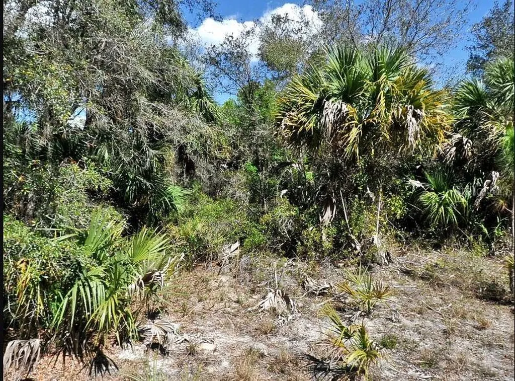 Dunmore Street North Port FL 34288