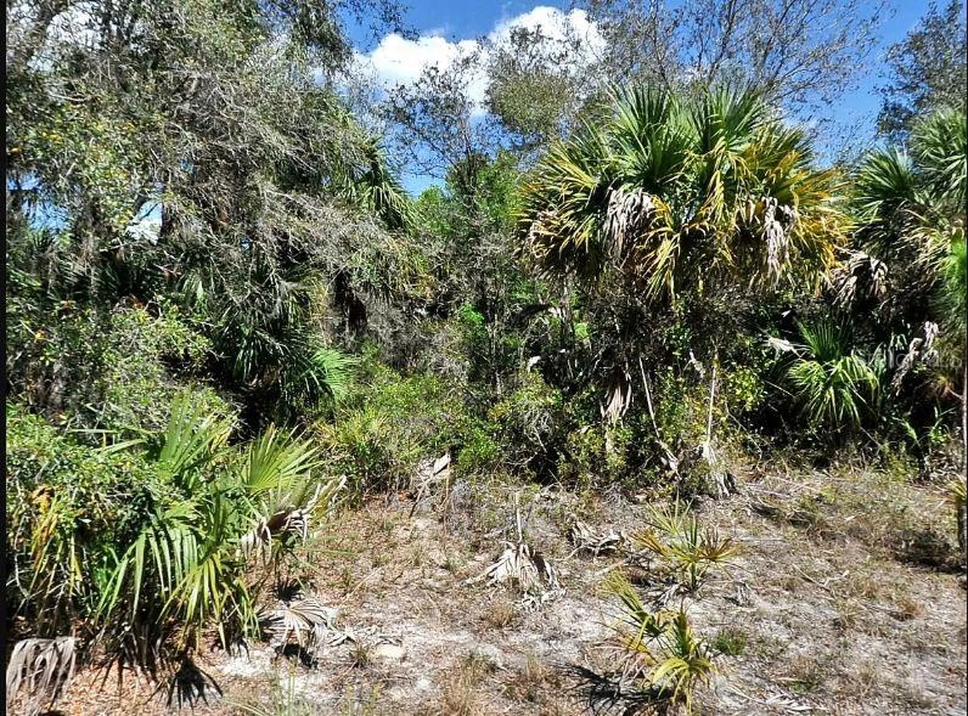 Dunmore Street North Port FL 34288