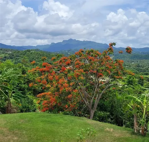 53 Ingenio Street Luquillo PR 00773