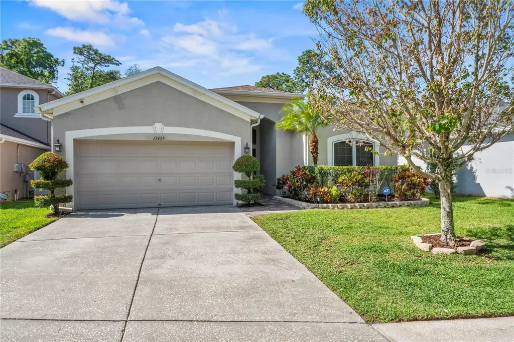13439 Staghorn Road Tampa FL 33626