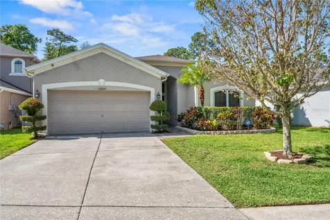 13439 Staghorn Road Tampa FL 33626
